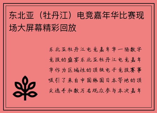 东北亚（牡丹江）电竞嘉年华比赛现场大屏幕精彩回放